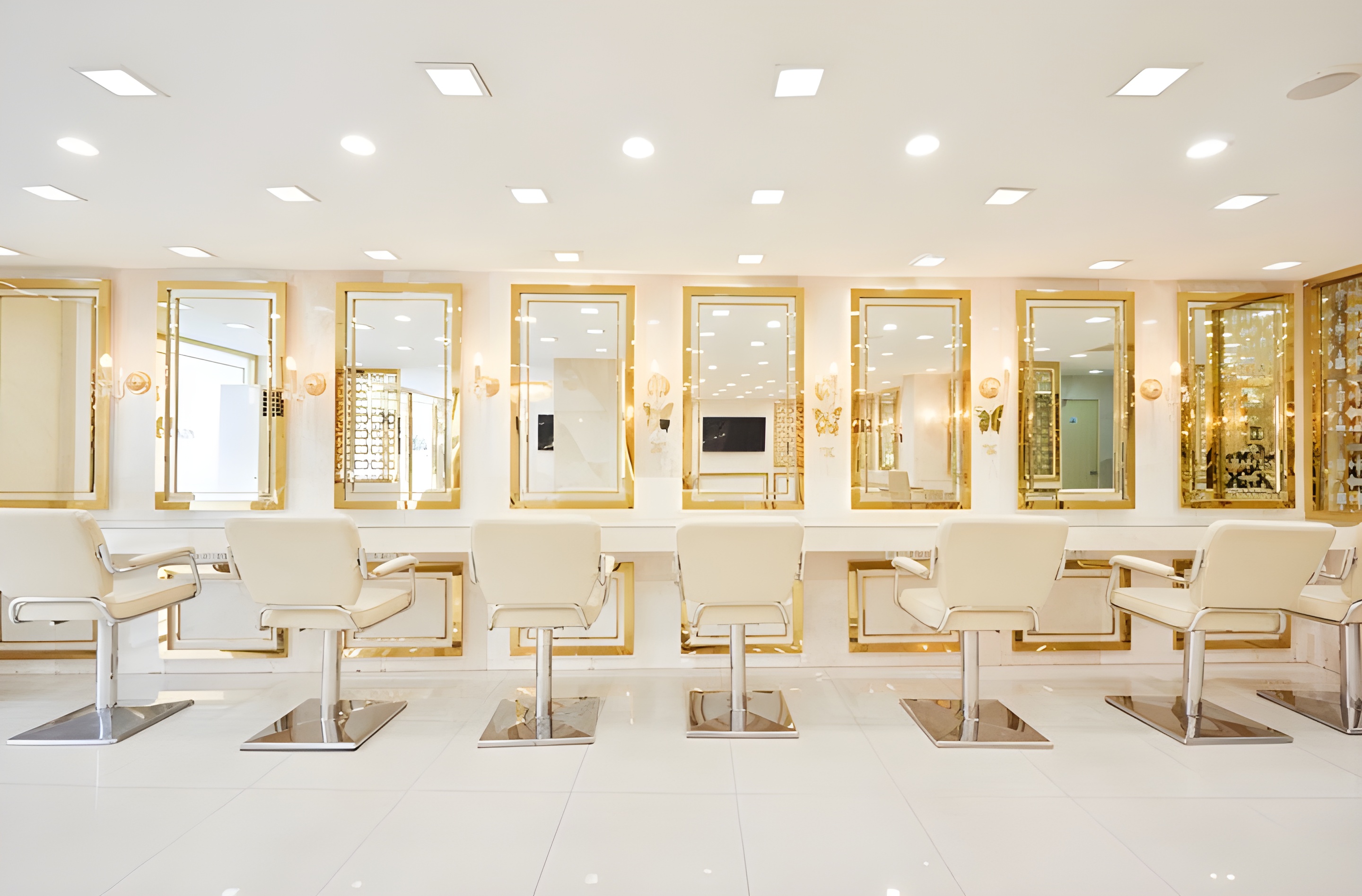 PANIPA salon interior
